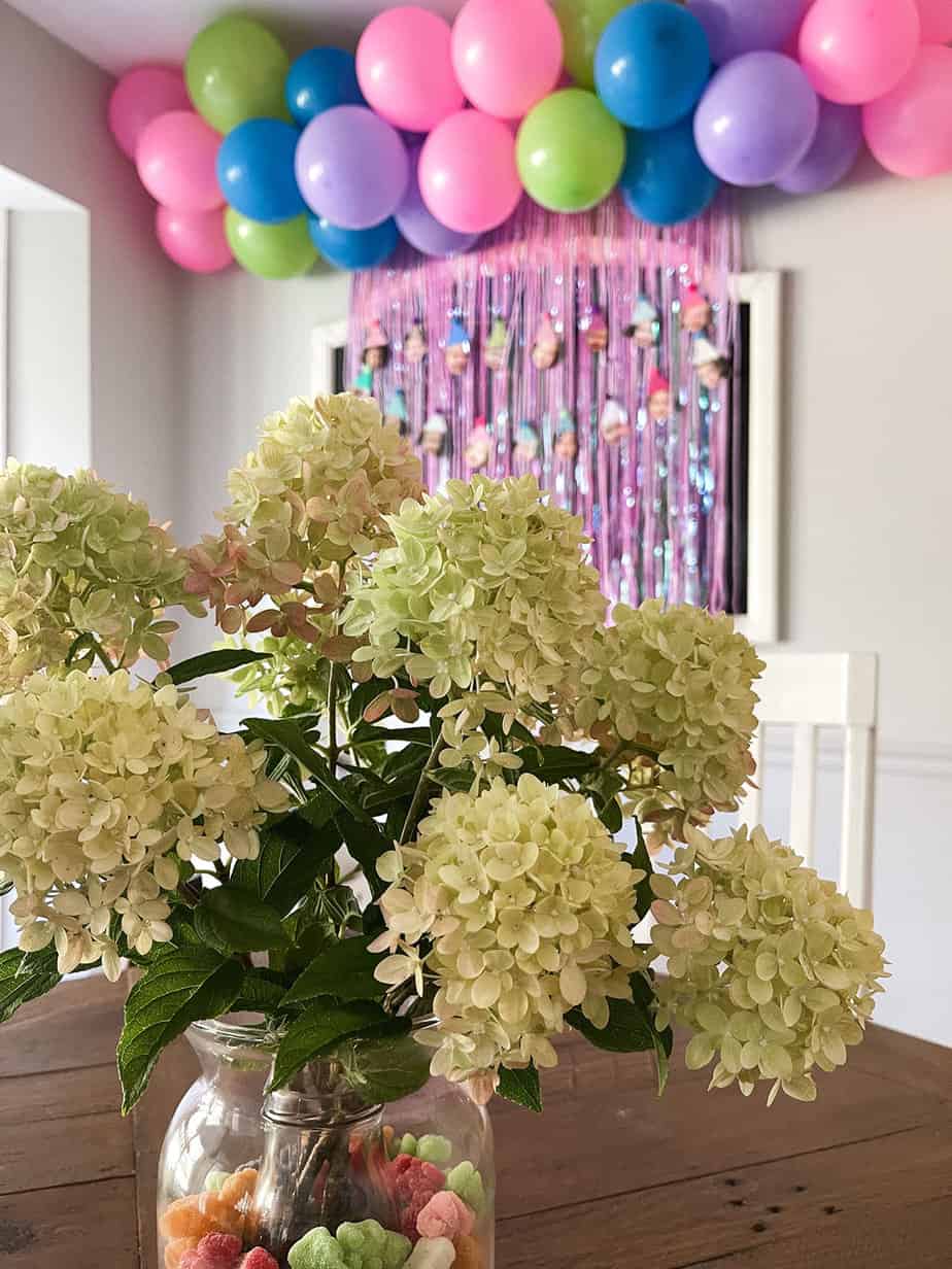 white hydrangeas in a vase of brightly colored candy with hot pink fringe backdrop in the background and a diy colorful balloon garland